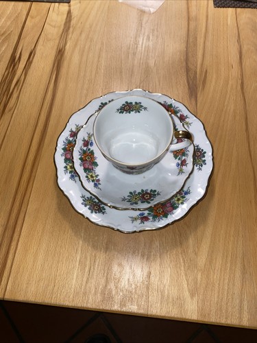 Sammeltasse gedeck seltmann - sammeltasse,